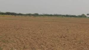 25 Acres Apartment JD in Basapura, Signasandra