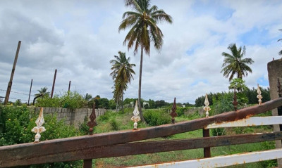 20 Acres Layout JD in Hoskote