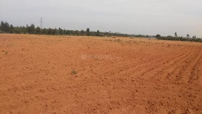 5 acres apartment JD, Devanahalli-1